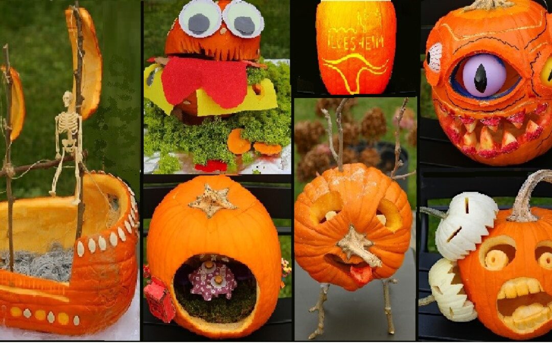 Auswertung des Kürbiswettbewerbes