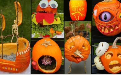 Auswertung des Kürbiswettbewerbes