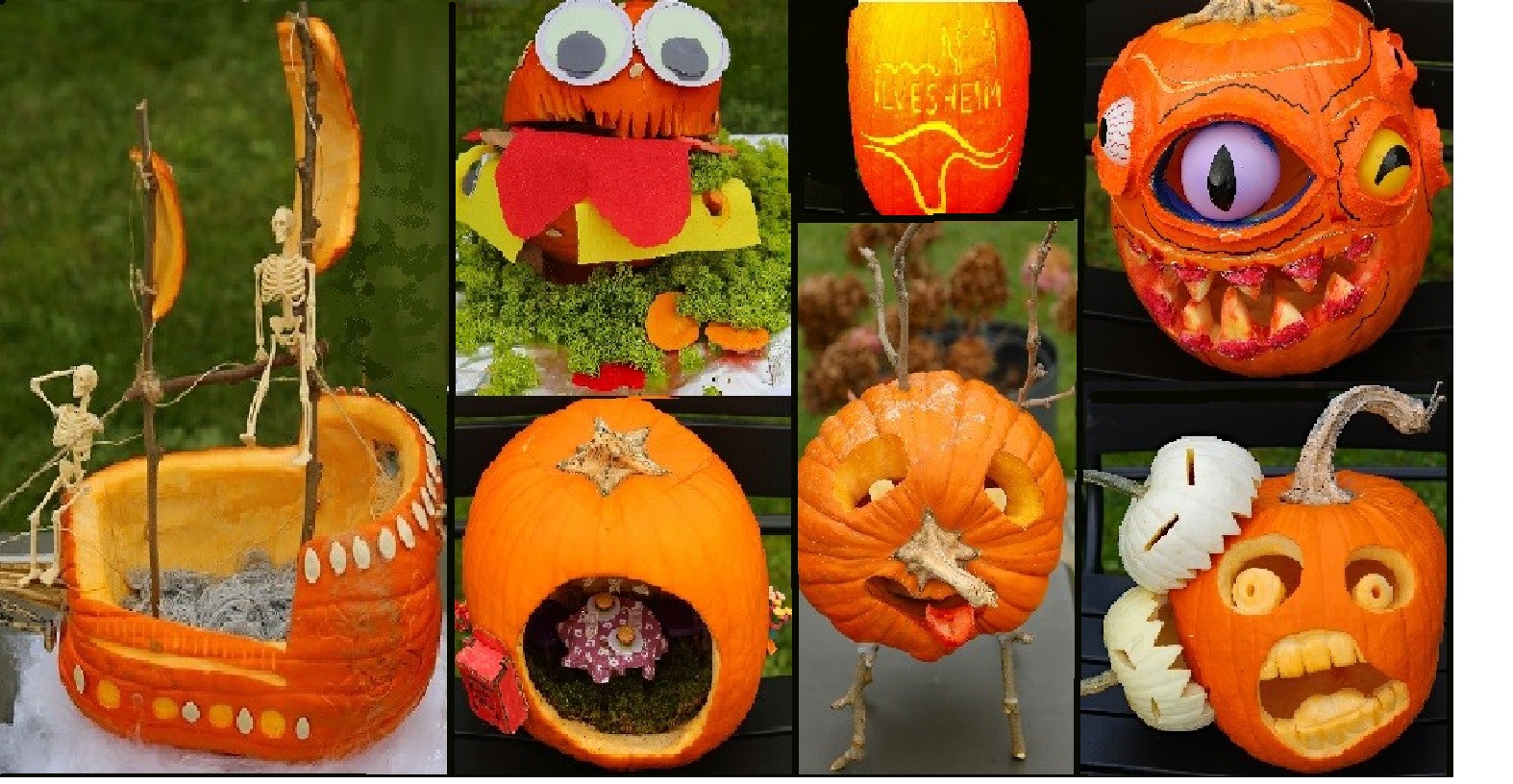 Kürbis -Sammler 2025